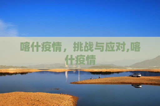 喀什疫情，挑战与应对,喀什疫情