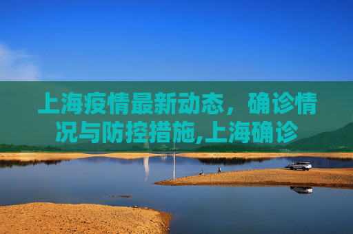 上海疫情最新动态，确诊情况与防控措施,上海确诊