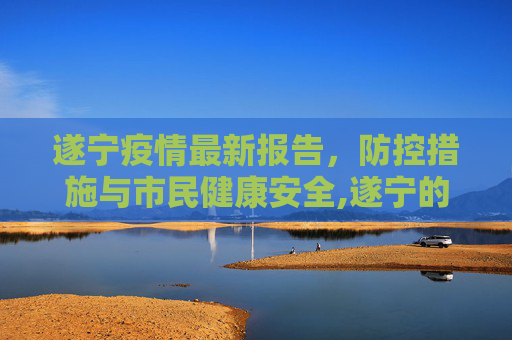 遂宁疫情最新报告，防控措施与市民健康安全,遂宁的疫情的最新报告
