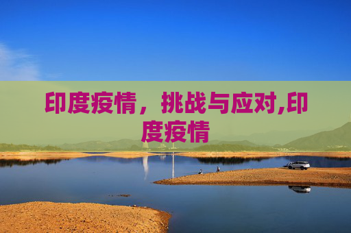 印度疫情，挑战与应对,印度疫情