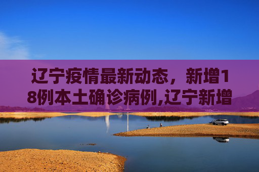 辽宁疫情最新动态，新增18例本土确诊病例,辽宁新增18例本土确诊病例
