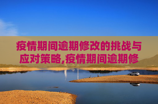 疫情期间逾期修改的挑战与应对策略,疫情期间逾期修改的挑战与应对策略