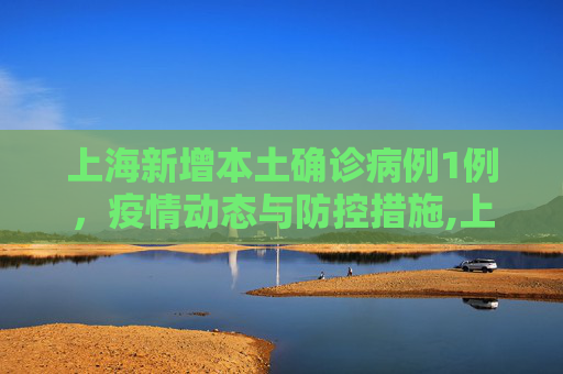 上海新增本土确诊病例1例，疫情动态与防控措施,上海新增本土确诊病例1例的简单介绍