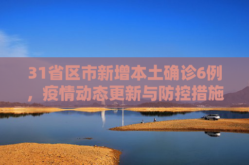 31省区市新增本土确诊6例，疫情动态更新与防控措施,31省区市新增本土确诊6例