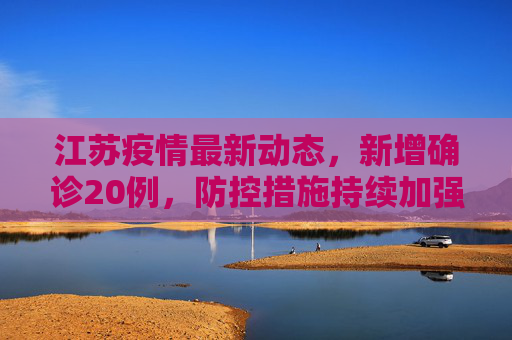 江苏疫情最新动态，新增确诊20例，防控措施持续加强,江苏新增确诊20例