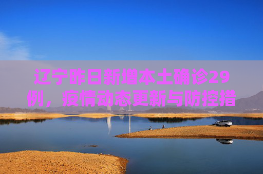 辽宁昨日新增本土确诊29例，疫情动态更新与防控措施,辽宁昨日新增本土确诊29例