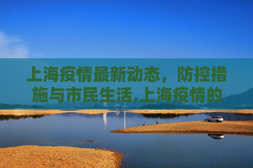 上海疫情最新动态，防控措施与市民生活,上海疫情的最新消息