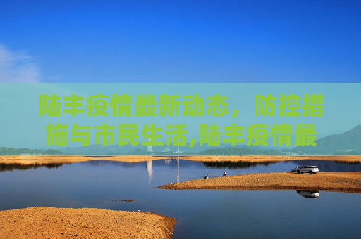 陆丰疫情最新动态，防控措施与市民生活,陆丰疫情最新动态