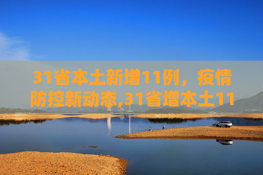 31省本土新增11例，疫情防控新动态,31省增本土11例