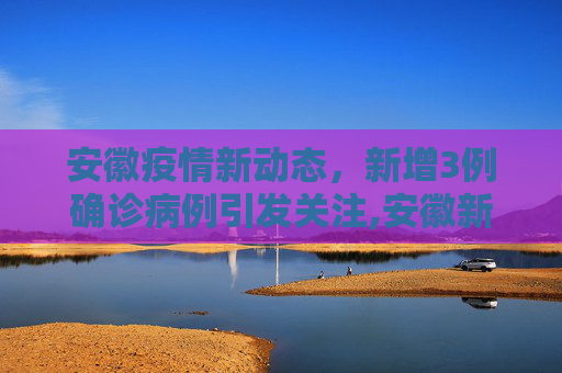 安徽疫情新动态，新增3例确诊病例引发关注,安徽新增3例确诊病例