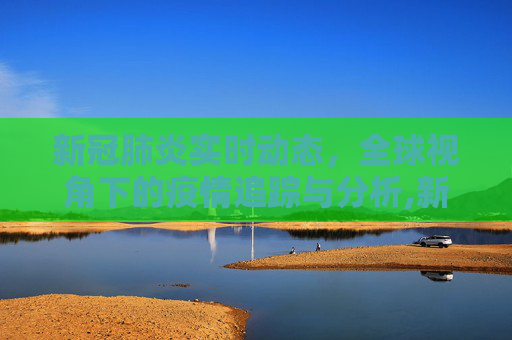 新冠肺炎实时动态，全球视角下的疫情追踪与分析,新冠肺炎实时动态