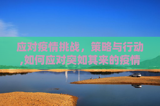 应对疫情挑战，策略与行动,如何应对突如其来的疫情挑战？