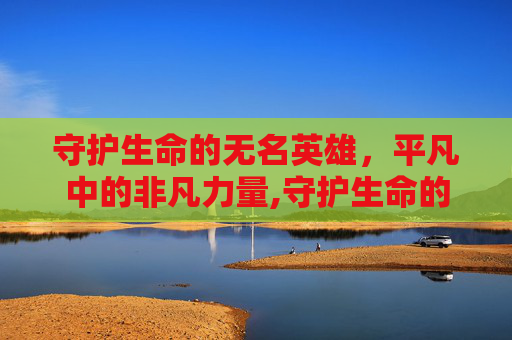 守护生命的无名英雄，平凡中的非凡力量,守护生命的无名英雄