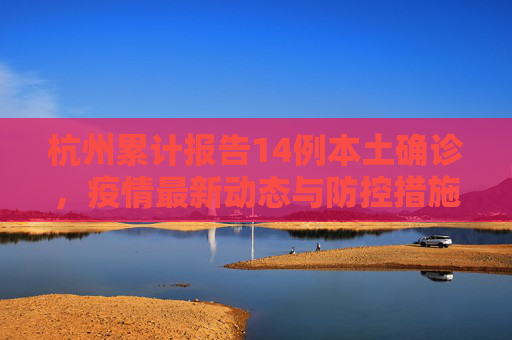 杭州累计报告14例本土确诊，疫情最新动态与防控措施,杭州累计报告14例本土确诊