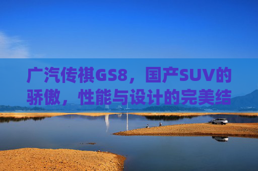 广汽传祺GS8，国产SUV的骄傲，性能与设计的完美结合,广汽传祺gs8怎么样