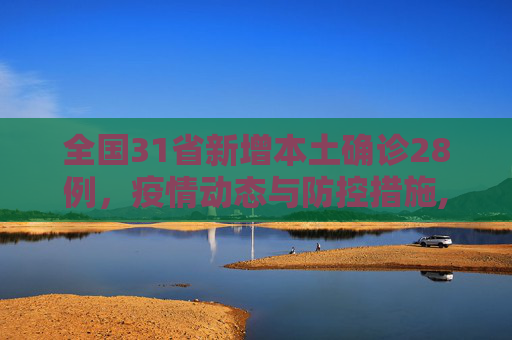 全国31省新增本土确诊28例，疫情动态与防控措施,31省新增本土确诊28例