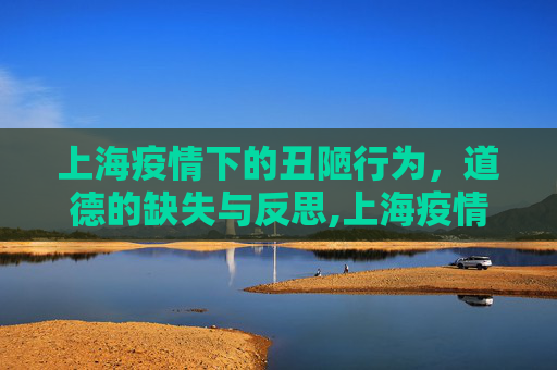 上海疫情下的丑陋行为，道德的缺失与反思,上海疫情下的丑陋行为