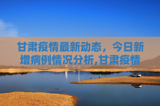 甘肃疫情最新动态，今日新增病例情况分析,甘肃疫情最新消息今天新增病例