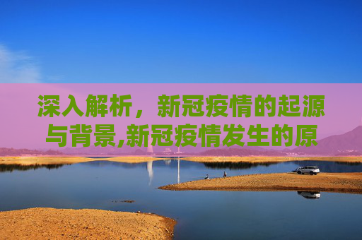 深入解析，新冠疫情的起源与背景,新冠疫情发生的原因及背景分析