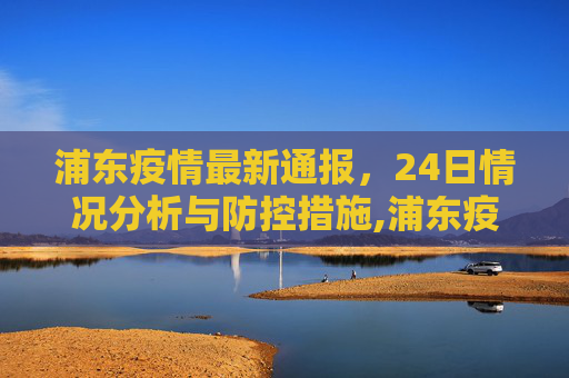 浦东疫情最新通报，24日情况分析与防控措施,浦东疫情最新通报24日