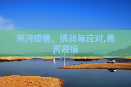 黑河疫情，挑战与应对,黑河疫情