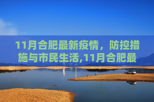 11月合肥最新疫情，防控措施与市民生活,11月合肥最新疫情
