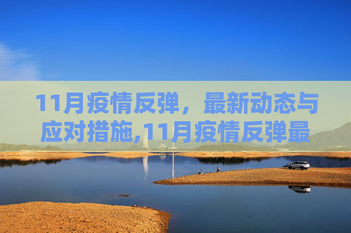 11月疫情反弹，最新动态与应对措施,11月疫情反弹最新消息