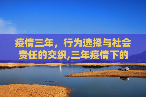 疫情三年，行为选择与社会责任的交织,三年疫情下的行为与社会责任考量