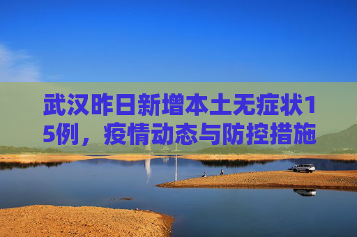 武汉昨日新增本土无症状15例，疫情动态与防控措施,武汉昨日新增本土无症状15例