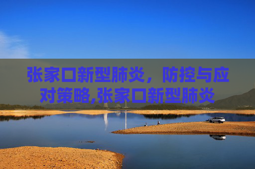 张家口新型肺炎，防控与应对策略,张家口新型肺炎