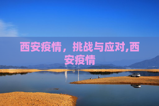 西安疫情，挑战与应对,西安疫情