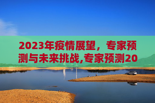 2023年疫情展望，专家预测与未来挑战,专家预测2023年疫情