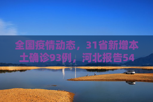 全国疫情动态，31省新增本土确诊93例，河北报告54例,31省新增本土确诊93例:河北54例