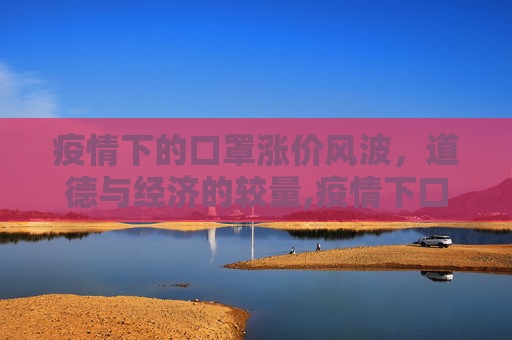 疫情下的口罩涨价风波，道德与经济的较量,疫情下口罩涨价事件