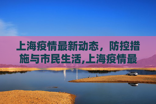 上海疫情最新动态，防控措施与市民生活,上海疫情最新动态