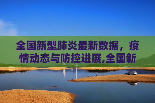全国新型肺炎最新数据，疫情动态与防控进展,全国新型肺炎最新数据