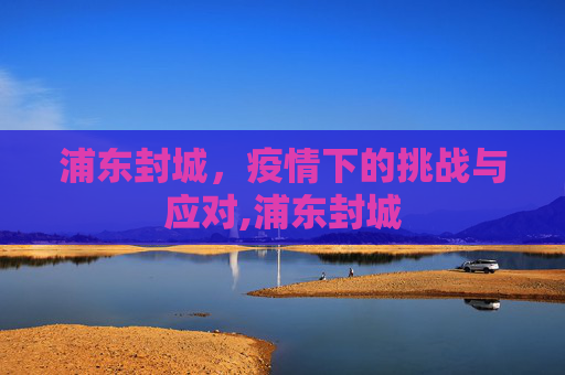 浦东封城，疫情下的挑战与应对,浦东封城
