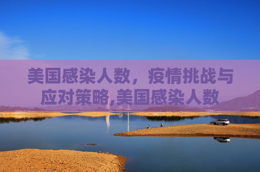 美国感染人数，疫情挑战与应对策略,美国感染人数