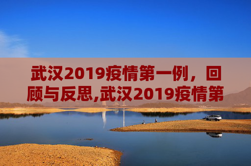 武汉2019疫情第一例，回顾与反思,武汉2019疫情第一例