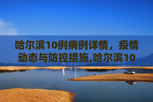 哈尔滨10例病例详情，疫情动态与防控措施,哈尔滨10例病例详情