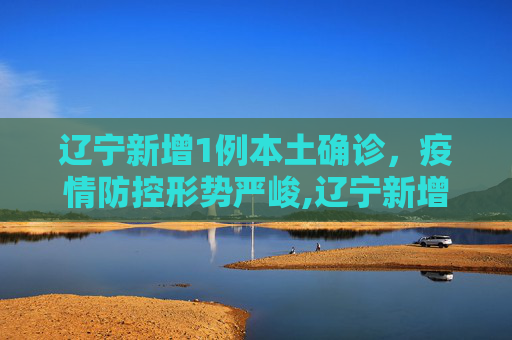 辽宁新增1例本土确诊，疫情防控形势严峻,辽宁新增1例本土确诊