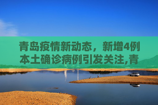 青岛疫情新动态，新增4例本土确诊病例引发关注,青岛新增4例本土确诊病例