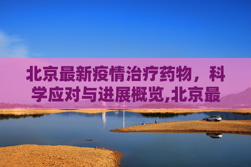 北京最新疫情治疗药物，科学应对与进展概览,北京最新疫情治疗药物