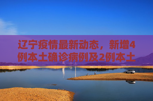 辽宁疫情最新动态，新增4例本土确诊病例及2例本土无症状感染者,辽宁新增4例本土确诊病例、2例本土无症状