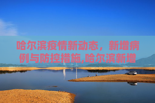 哈尔滨疫情新动态，新增病例与防控措施,哈尔滨新增