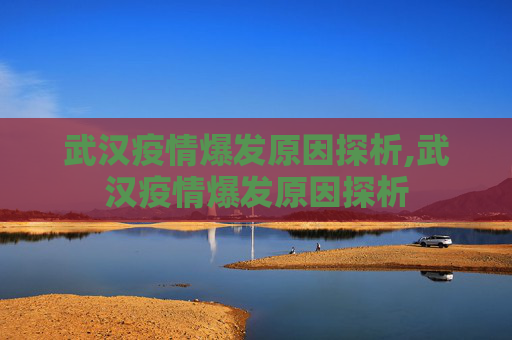 武汉疫情爆发原因探析,武汉疫情爆发原因探析