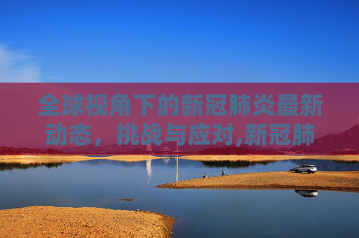 全球视角下的新冠肺炎最新动态，挑战与应对,新冠肺炎的最新动态