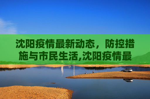 沈阳疫情最新动态，防控措施与市民生活,沈阳疫情最新动态