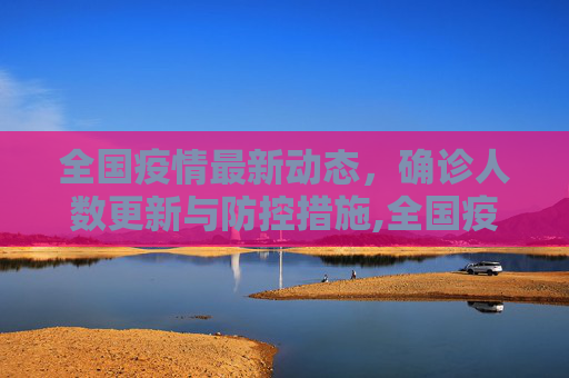 全国疫情最新动态，确诊人数更新与防控措施,全国疫情最新确认的人数