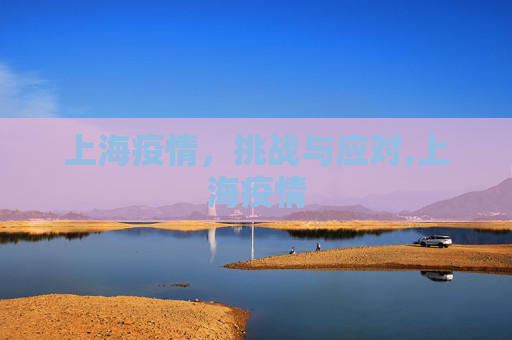 上海疫情，挑战与应对,上海疫情